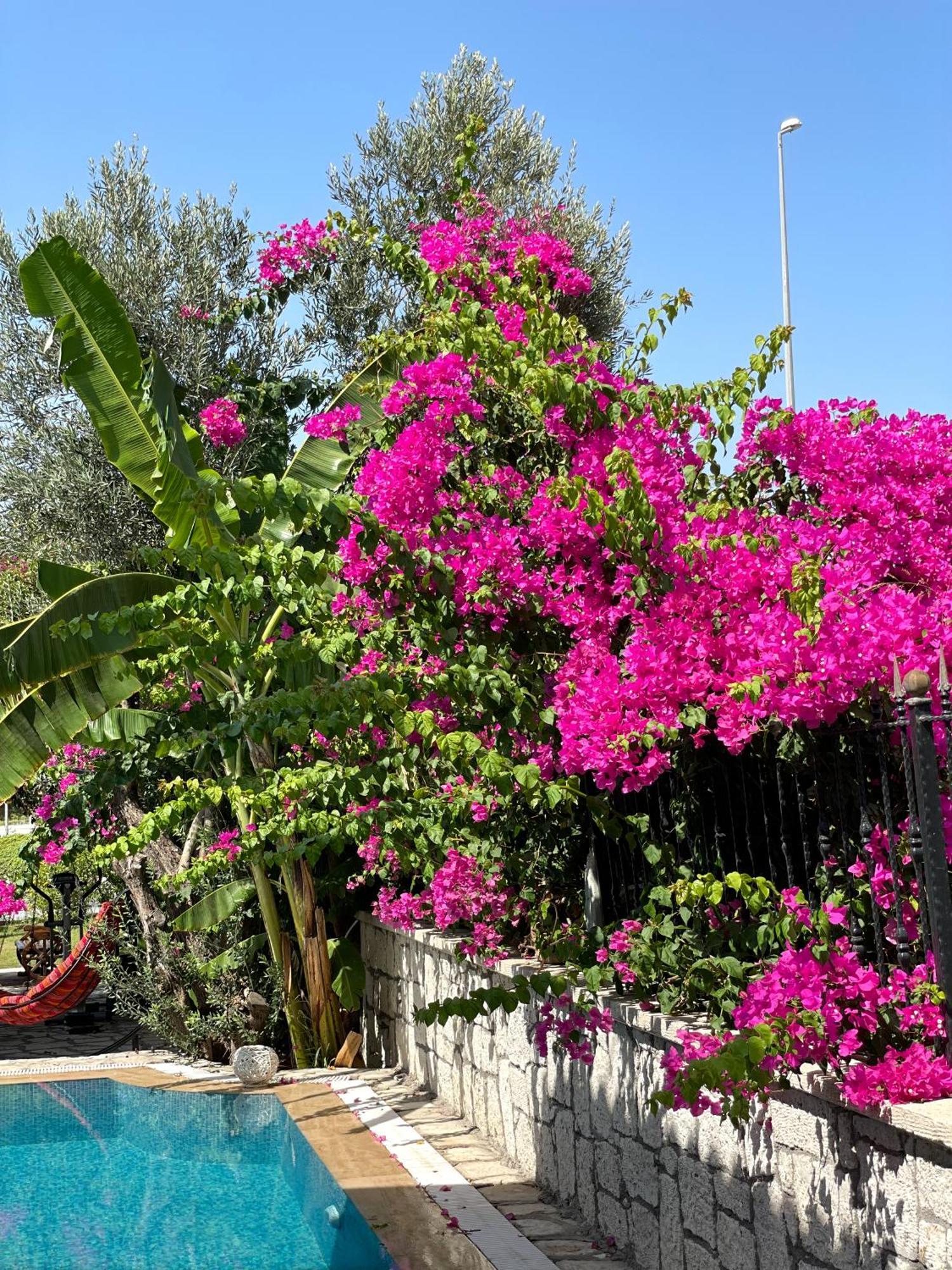 Ata Boutique Hotel Cesme Ngoại thất bức ảnh