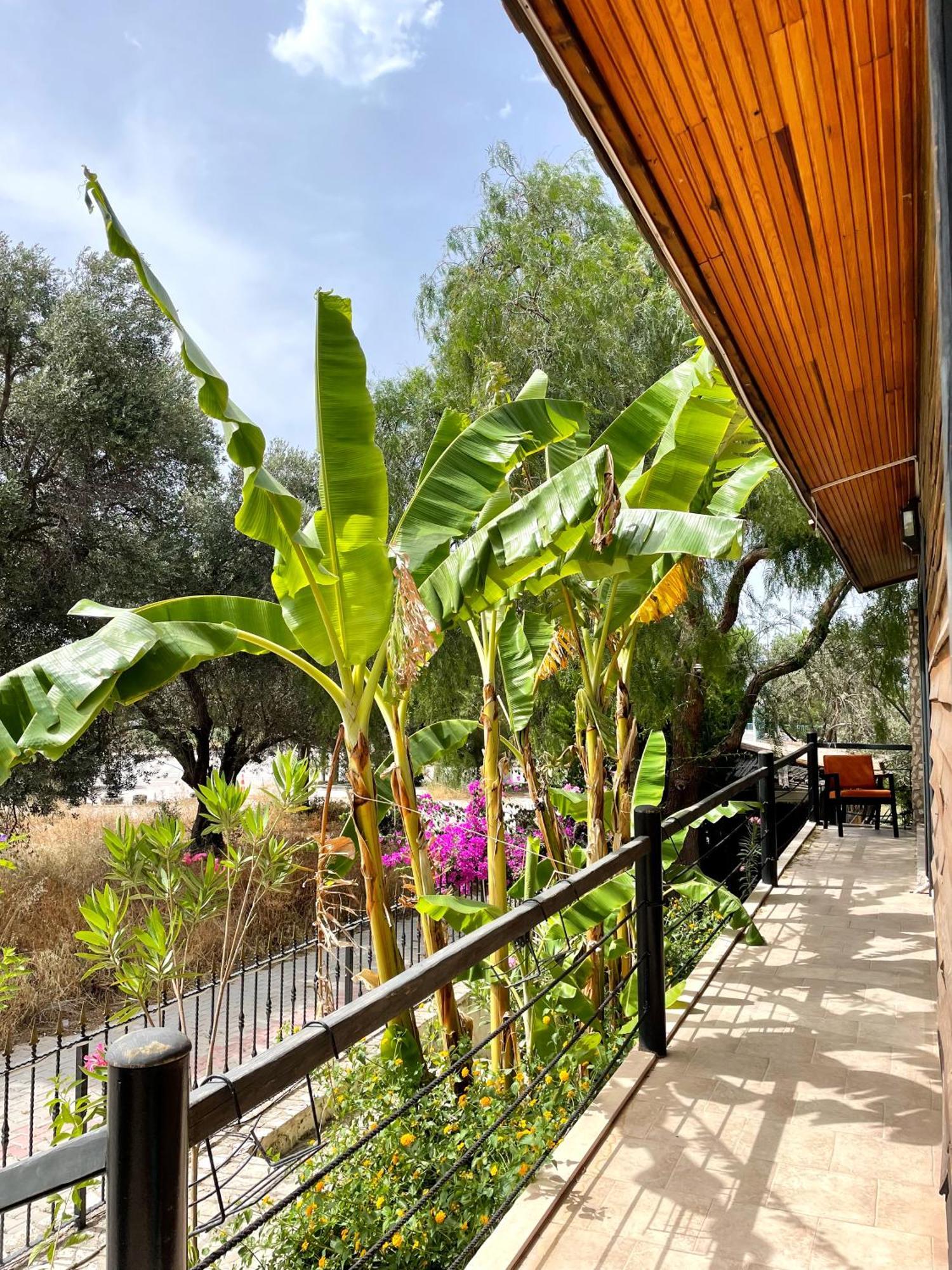 Ata Boutique Hotel Cesme Ngoại thất bức ảnh